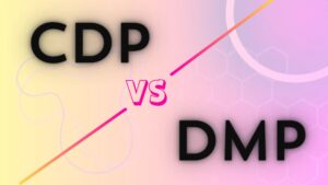 Navigating the Data Landscape: CDP and DMP Unveiled
