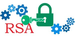 Expert Reveals the Story of RSA Hack