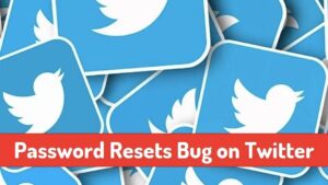 Twitter Fix Session Validation Bug on Password Reset