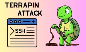 New Security Flaws Uncovered in SSH Protocol